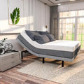 Renanim Zero Gravity Adjustable Bed Frame with 14 Memory Foam Mattress, Dual Massage, USB, Under Bed Light, Remote, App Control